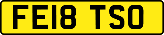 FE18TSO