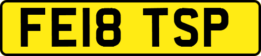 FE18TSP