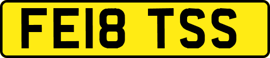 FE18TSS