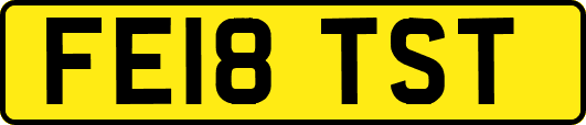 FE18TST