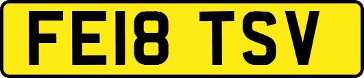 FE18TSV