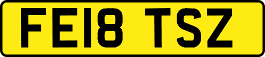 FE18TSZ