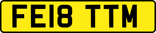 FE18TTM