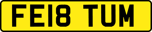 FE18TUM