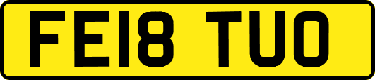 FE18TUO