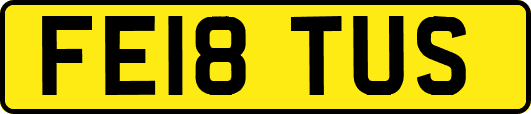 FE18TUS