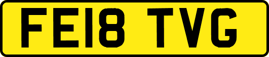FE18TVG