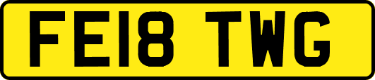 FE18TWG