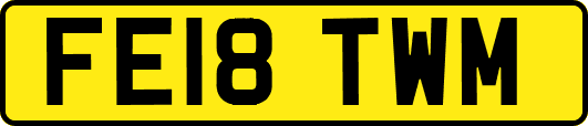 FE18TWM