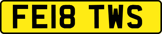 FE18TWS