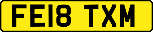 FE18TXM