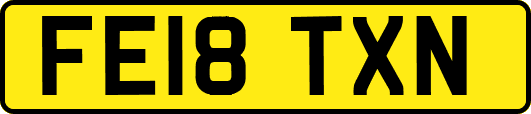 FE18TXN