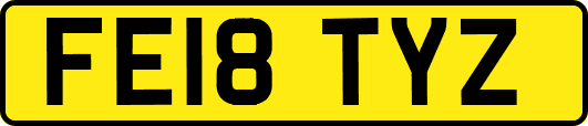 FE18TYZ