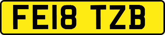 FE18TZB