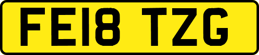 FE18TZG