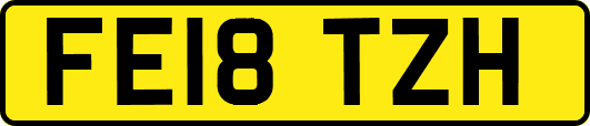 FE18TZH
