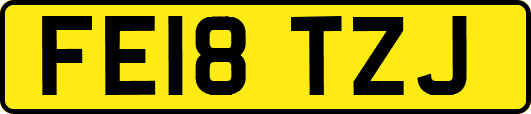 FE18TZJ