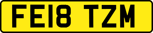 FE18TZM