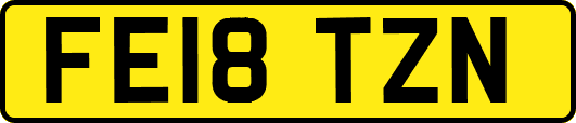 FE18TZN