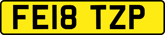 FE18TZP