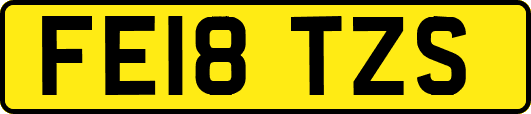 FE18TZS