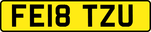 FE18TZU
