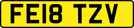 FE18TZV