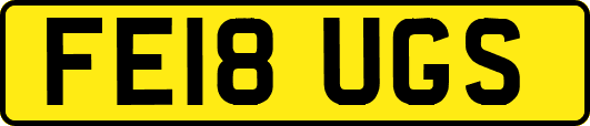 FE18UGS