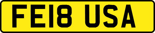 FE18USA