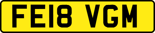 FE18VGM