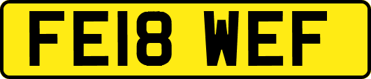 FE18WEF