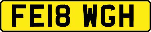 FE18WGH