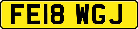 FE18WGJ