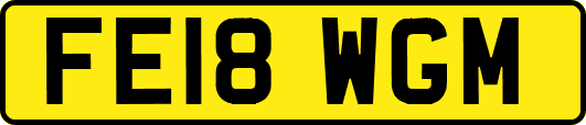 FE18WGM