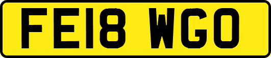 FE18WGO
