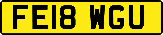 FE18WGU