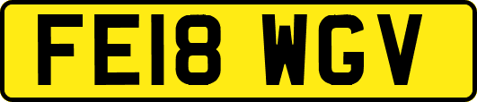 FE18WGV