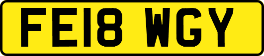 FE18WGY