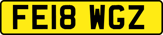 FE18WGZ
