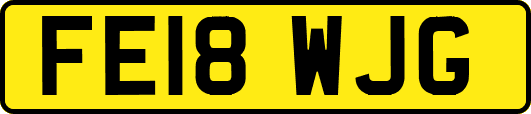 FE18WJG