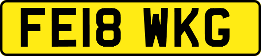 FE18WKG