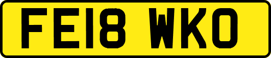 FE18WKO