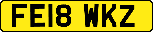 FE18WKZ