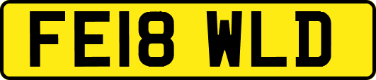 FE18WLD
