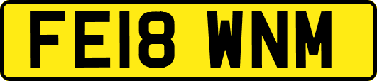 FE18WNM