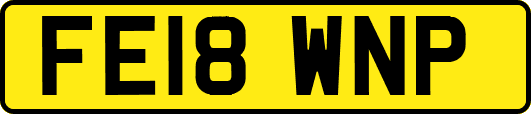 FE18WNP