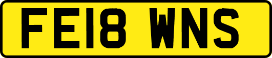 FE18WNS