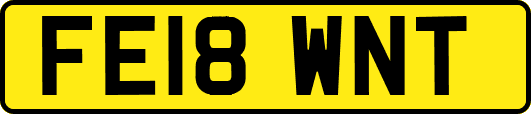 FE18WNT
