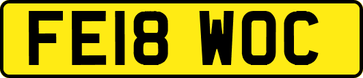FE18WOC