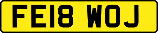 FE18WOJ
